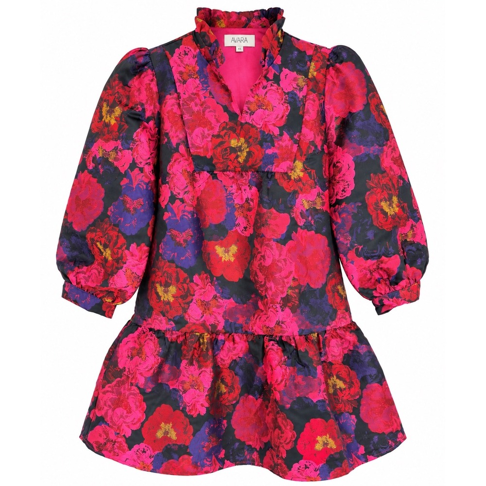 NWOT Avara Elena Mini Dress Pink Red Floral Jacquard Drop Waist Puff Sleeve XL